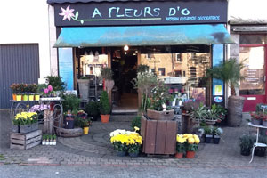 A Fleurs D O Votre Fleuriste A Bain De Bretagne Florajet