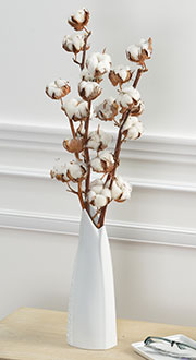 FLEURS DE COTON FLEURS DE COTON