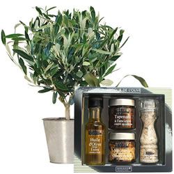 OLIVIER + COFFRET SAVEUR OLIVE OLIVIER + COFFRET SAVEUR OLIVE