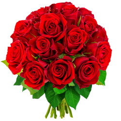 Bouquet de 15 Roses Rouges - Livraison en Express | Florajet