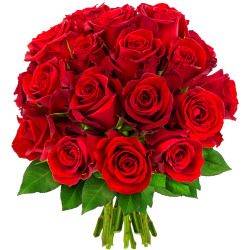 20 ROSES ROUGES 20 ROSES ROUGES