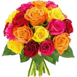 20 ROSES MULTICOLORES 20 ROSES MULTICOLORES