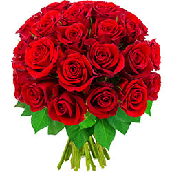 30 ROSES ROUGES 30 ROSES ROUGES