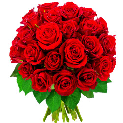40 ROSES ROUGES 40 ROSES ROUGES