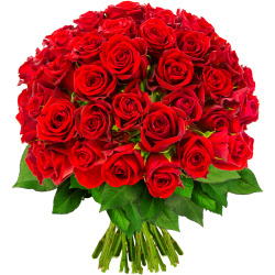 60 ROSES ROUGES 60 ROSES ROUGES