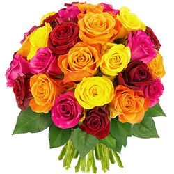 30 ROSES MULTICOLORES 30 ROSES MULTICOLORES