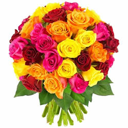 40 ROSES MULTICOLORES 40 ROSES MULTICOLORES