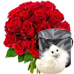20 ROSES + CANARD VIBRANT
