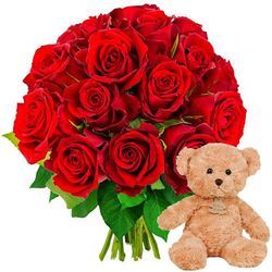 15 ROSES ROUGES + OURSON MARRON 15 ROSES ROUGES + OURSON MARRON