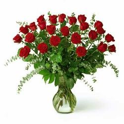 GRANDES ROSES ROUGES