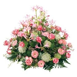 DELICATES PENSEES
