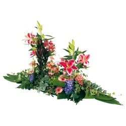 VIBRANT HOMMAGE VIBRANT HOMMAGE