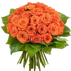 30 ROSES ORANGE 30 ROSES ORANGE
