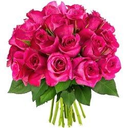 30 ROSES FUCHSIAS 30 ROSES FUCHSIAS