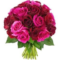 30 ROSES FUCHSIAS ET ROUGES 30 ROSES FUCHSIAS ET ROUGES