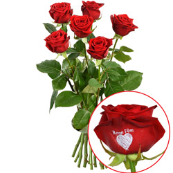 5 + 1 ROSE MARQUEE BONNE FETE 5 + 1 ROSE MARQUEE BONNE FETE