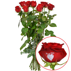 11 + 1 ROSE MARQUEE BONNE FETE 11 + 1 ROSE MARQUEE BONNE FETE