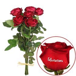 5 + 1 ROSE MARQUEE FELICITATIONS 5 + 1 ROSE MARQUEE FELICITATIONS