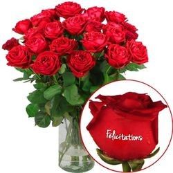 23 + 1 ROSE MARQUEE FELICITATIONS 23 + 1 ROSE MARQUEE FELICITATIONS
