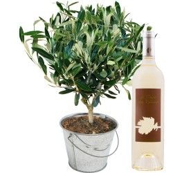 OLIVIER + VIN BLANC 75CL OLIVIER + VIN BLANC 75CL