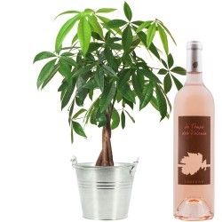 PACHIRA + VIN ROSE 75CL PACHIRA + VIN ROSE 75CL