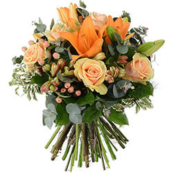 AMBRE AMBRE