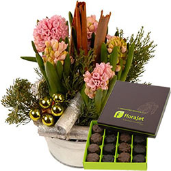 SERAPHIN + CHOCOLATS SERAPHIN + CHOCOLATS