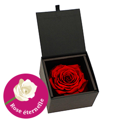 ROSE STABILISEE + ECRIN NOIR ROSE STABILISEE + ECRIN NOIR