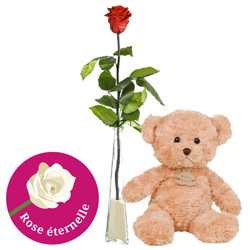 ROSE STABILISEE 70CM + SOLIFLOR + OURSON ROSE STABILISEE 70CM + SOLIFLOR + OURSON
