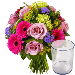 PREMIER PAS + VASE PREMIER PAS + VASE