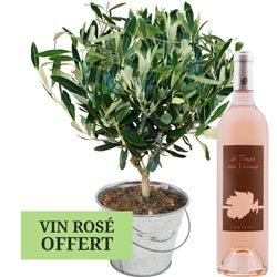 OLIVIER + VIN ROSE OLIVIER + VIN ROSE