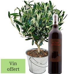 OLIVIER + VIN ROUGE OLIVIER + VIN ROUGE