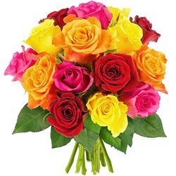 15 ROSES MULTICOLORES 15 ROSES MULTICOLORES