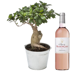 BONSAI GINSENG + VIN ROSé MOUTON CADET BONSAI GINSENG + VIN ROSé MOUTON CADET