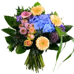PERROQUET PERROQUET
