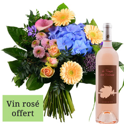 PERROQUET + VIN ROSE PERROQUET + VIN ROSE
