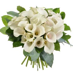 BOUQUET DE CALLAS BOUQUET DE CALLAS