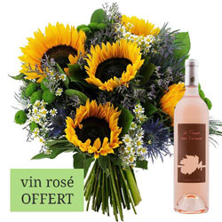 SOLEIL + VIN ROSE SOLEIL + VIN ROSE