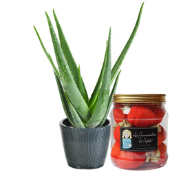ALOE VERA + BONBONS FRAISES ALOE VERA + BONBONS FRAISES