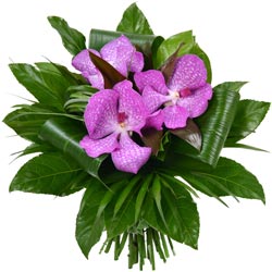 BOUQUET DE VANDAS BOUQUET DE VANDAS