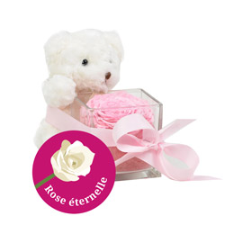 OURSON + ROSE STABILISEE + VERRINE OURSON + ROSE STABILISEE + VERRINE