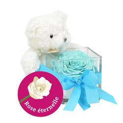 OURSON + ROSE STABILISEE + VERRINE OURSON + ROSE STABILISEE + VERRINE