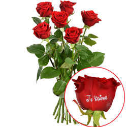 5 + 1 ROSE MARQUEE JE TAIME 5 + 1 ROSE MARQUEE JE TAIME