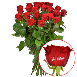 23 + 1 ROSE MARQUEE JE T'AIME 23 + 1 ROSE MARQUEE JE T'AIME