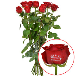 11 + 1 ROSE MARQUEE JOYEUX ANNIV 11 + 1 ROSE MARQUEE JOYEUX ANNIV