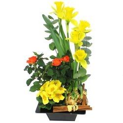 JARDIN PRINTANIER