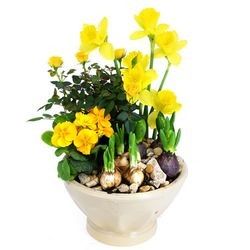 JARDINIERE FLEURIE