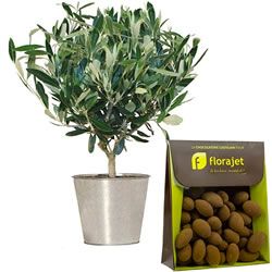 OLIVIER + AMANDES 150GR OLIVIER + AMANDES 150GR