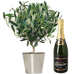 OLIVIER + LANSON BRUT 75CL OLIVIER + LANSON BRUT 75CL