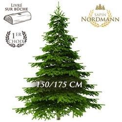 SAPIN NORDMANN 150/175CM SAPIN NORDMANN 150/175CM